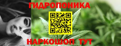 эйфоретик Кулебаки
