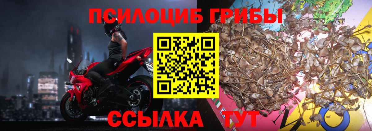 Псилоцибиновые грибы MAGIC MUSHROOMS Гулькевичи