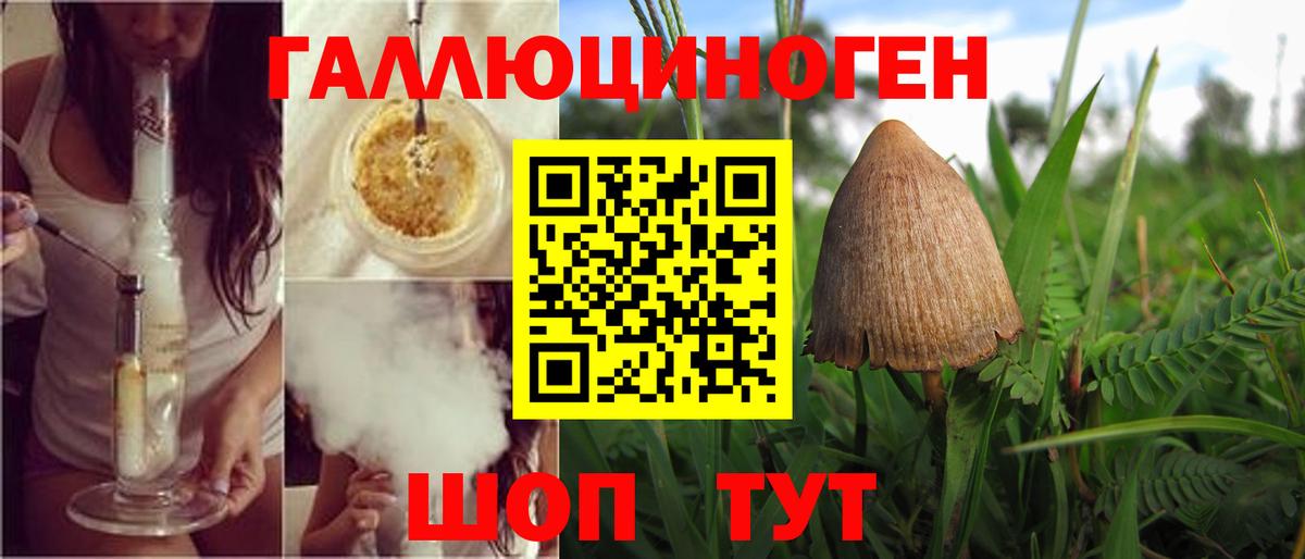 Псилоцибиновые грибы мухоморы  Вход с VPN  Гулькевичи 